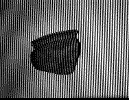 (a) image of a test image